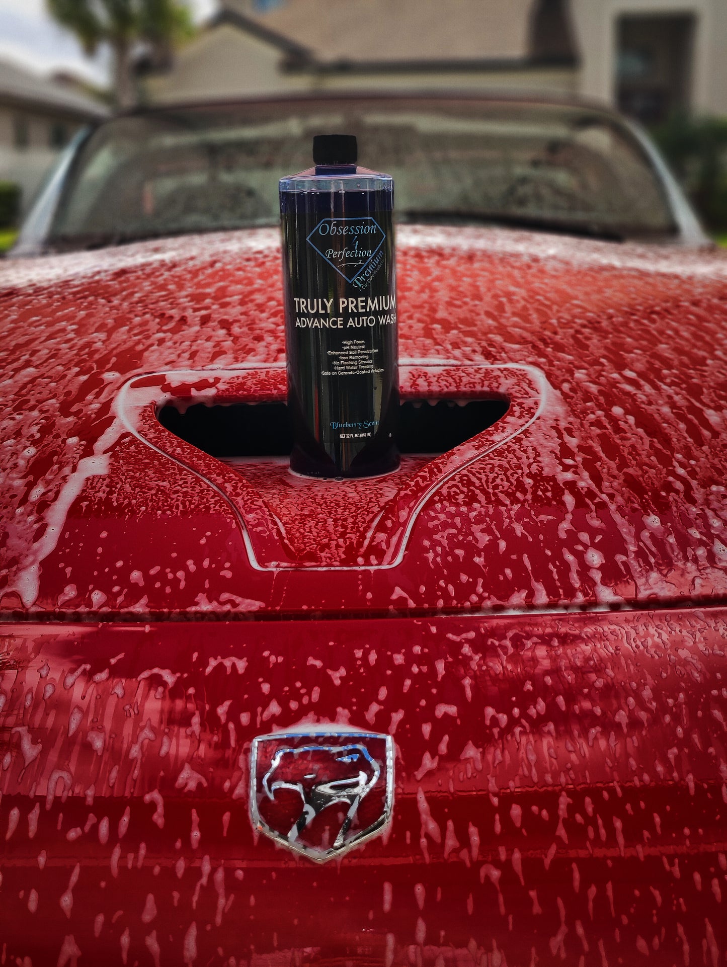 Truly Premium Auto Wash